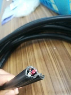 Crane Wire 3 core 1.25 sqmm. /สายไฟรอกเครนไฟฟ้า/สายสวิทช์รอกเครนไฟฟ้า/สายไฟ 3 ไส พร้อมมีสลิง ( ขายเป็นเมตร )