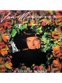 Van Morrison – A Sense Of Wonder / GERMANY / แผ่นดี