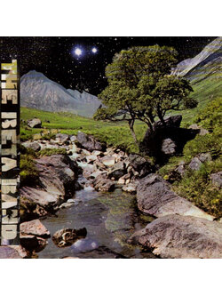The Beta Band – The Beta Band / EU / แผ่นดี