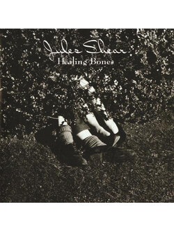Jules Shear – Healing Bones / USA / ปกเจาะ / แผ่นเป็นรอย