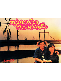 สรเพชร ภิญโญ & น้องนุช ดวงชีวัน – รวมฮิตเงินล้าน หนุ่มนาข้าวสาวนาเกลือ / ฝากล่องหัก / มีรอยบ้าง