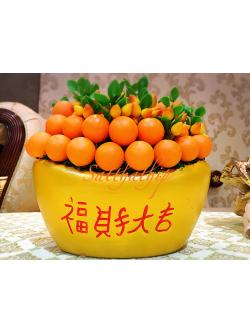 ส้ม ประดิษฐ์จากดิน กระถางก้อนทอง - ผลไม้มงคล ประดิษฐ์จากดิน กระถางก้อนทอง