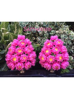 พานพุ่มดอกบัวประดิษฐ์ [10 นิ้ว 6,500 บาท/คู่]