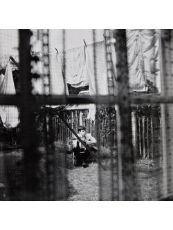 Paul McCartney – Chaos And Creation In The Backyard / JAPAN / แผ่นสวย