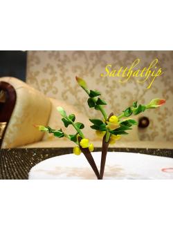 โมเดลต้นมะยม - โมเดลต้นไม้ - Tree model