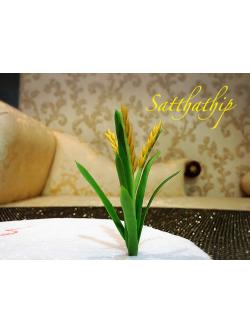 โมเดลต้นข้าว - โมเดลต้นไม้ - Tree model