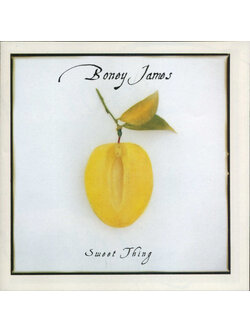 Boney James – Sweet Thing / USA / แผ่นสวย