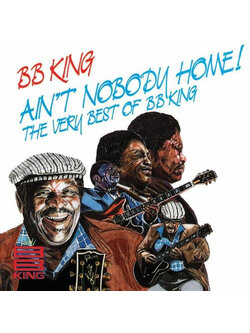 B.B. King – Ain't Nobody Home! The Very Best Of BB King / JAPAN / ปกมีจุดเหลือง / แผ่นดี