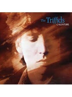 The Triffids – Calenture / ไม่ระบุ / ปกมีจุดเหลือง / แผ่นทะลุขอบ(ไม่โดนเนื้อแผ่น) / แผ่นดี