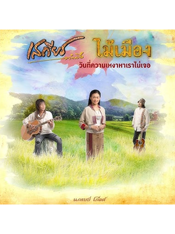 เสถียร ทำมือ + ไม้เมือง – วันที่ความเหงาหาเราไม่เจอ / แผ่นดี