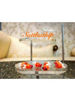 ปลาทอง - โมเดลปลาทอง - ปลาทองดินปั้น - โมเดลสัตว์ - โมเดลสัตว์เลี้ยง - ตุ๊กตาสัตว์ดินปั้น - Animal model