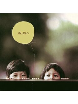 ลิปตา - Lipta / กล่องกระดาษขาดตรงจุดพับ / แผ่นดี