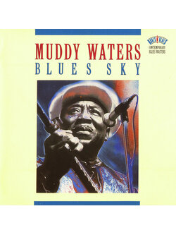Muddy Waters – Blues Sky / USA / ปกเจาะ / ปกในมีจุดเหลือง / แผ่นดี