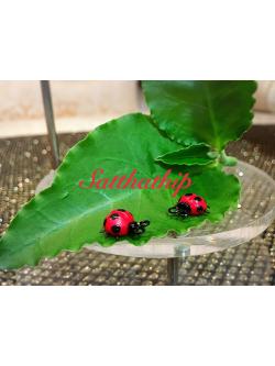 เต่าทอง - โมเดลเต่าทอง - เต่าทองดินปั้น - โมเดลสัตว์ - โมเดลสัตว์เลี้ยง - ตุ๊กตาสัตว์ดินปั้น - Animal model