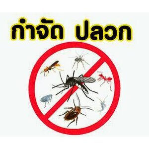 บริษัทรับกำจัดปลวก