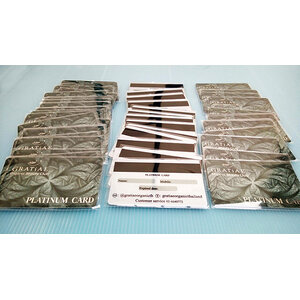 CF Card Pvc Spot Silver