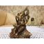 พระพิฆเณศ ปางสัมปทายะคเณศ ประทับหอยสังข์ (ทองเหลือง) - Ganesha: Lord of Success