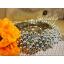 พวงมาลัยลูกปัด - พวงมาลัยลูกปัดสีเงิน - Garland
