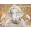 พระพิฆเนศ ปางเศรษฐี/ ดั๊กดูเสธ (เรซิ่น) - Ganesha: Lord of Success