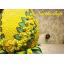 พานพุ่มผ้า สีเหลือง - พานพุ่ม สีเหลือง - พานพุ่มสักการะ สีเหลือง - Phan bush