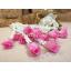 ก้านดอกรักประดิษฐ์ (พลาสติก) - Crown flower