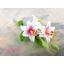 โมเดลดอกลิลลี่ - โมเดลดอกไม้ - Flower model