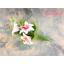 โมเดลดอกลิลลี่ - โมเดลดอกไม้ - Flower model
