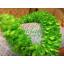 พวงมาลัยผ้า ดอกกุหลาบ สีเขียว - พวงมาลัยผ้า - Fabric garland - Rose garland