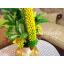 ต้นกล้วย - แจกันต้นกล้วยร้อยหวี ประดิษฐ์จากดิน - ฺBanana Tree