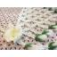 ตาข่ายหน้าช้างดอกรักประดิษฐ์ (พลาสติก) - Crown flower