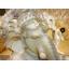 พระพิฆเนศ ปางสัมปทายะคเณศ (เรซิ่น แต่งองค์) - Ganesha: Lord of Success