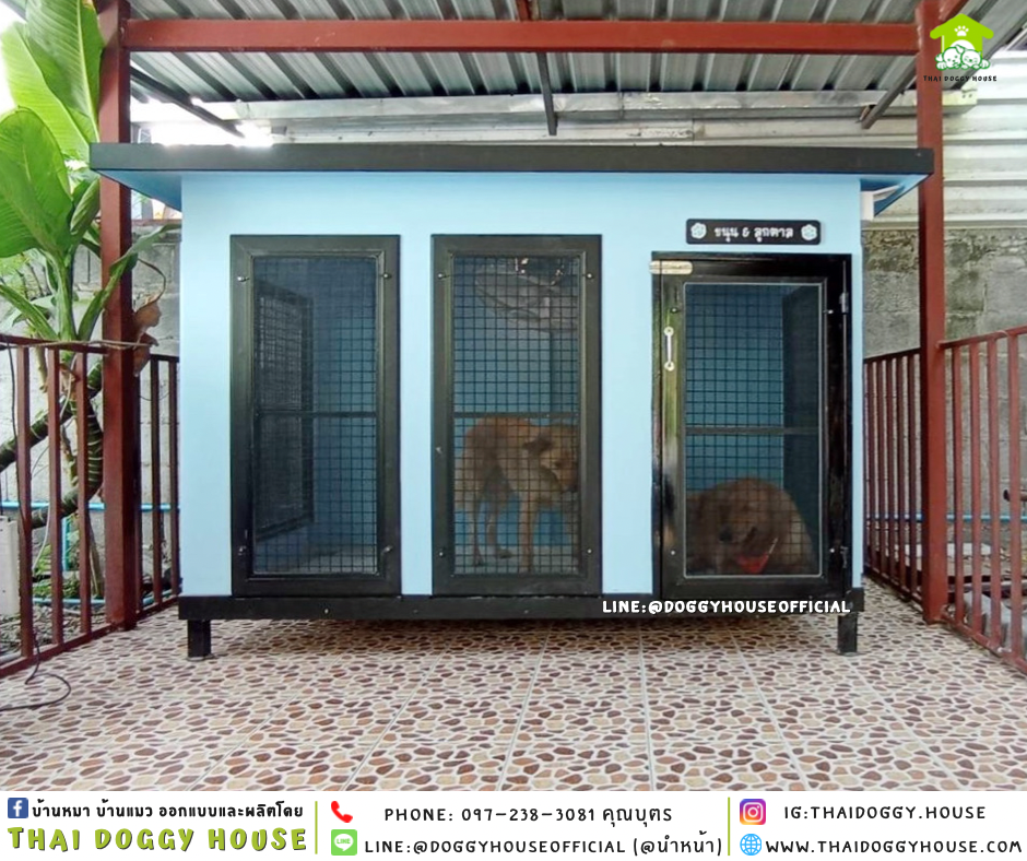 บ้านหมา แบบบ้าน 𝑩𝑶𝑿 𝑺𝑻𝒀𝑳𝑬