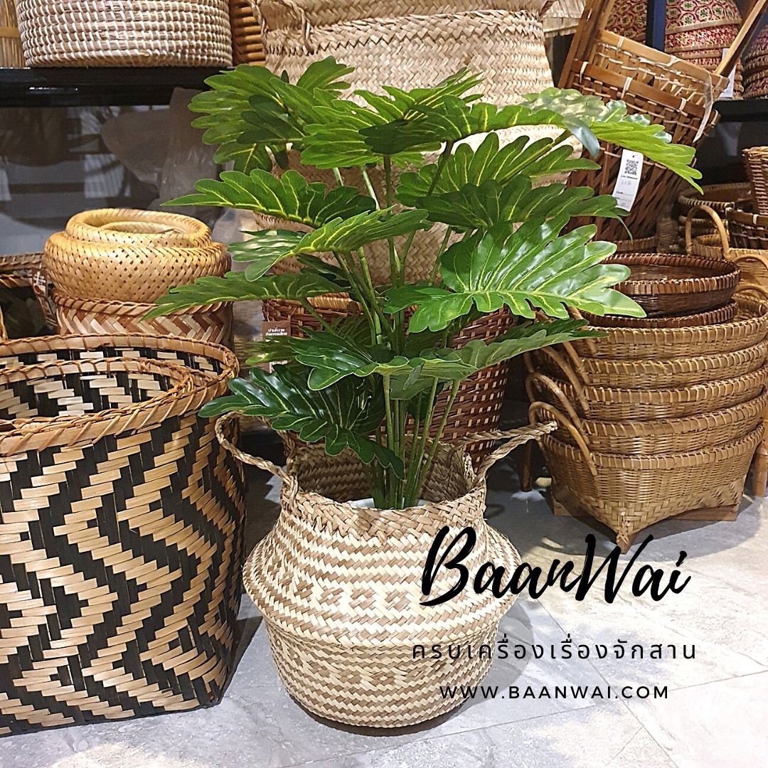 กระถางใส่ต้นไม้ กระถางตกแต่ง แบบพับ