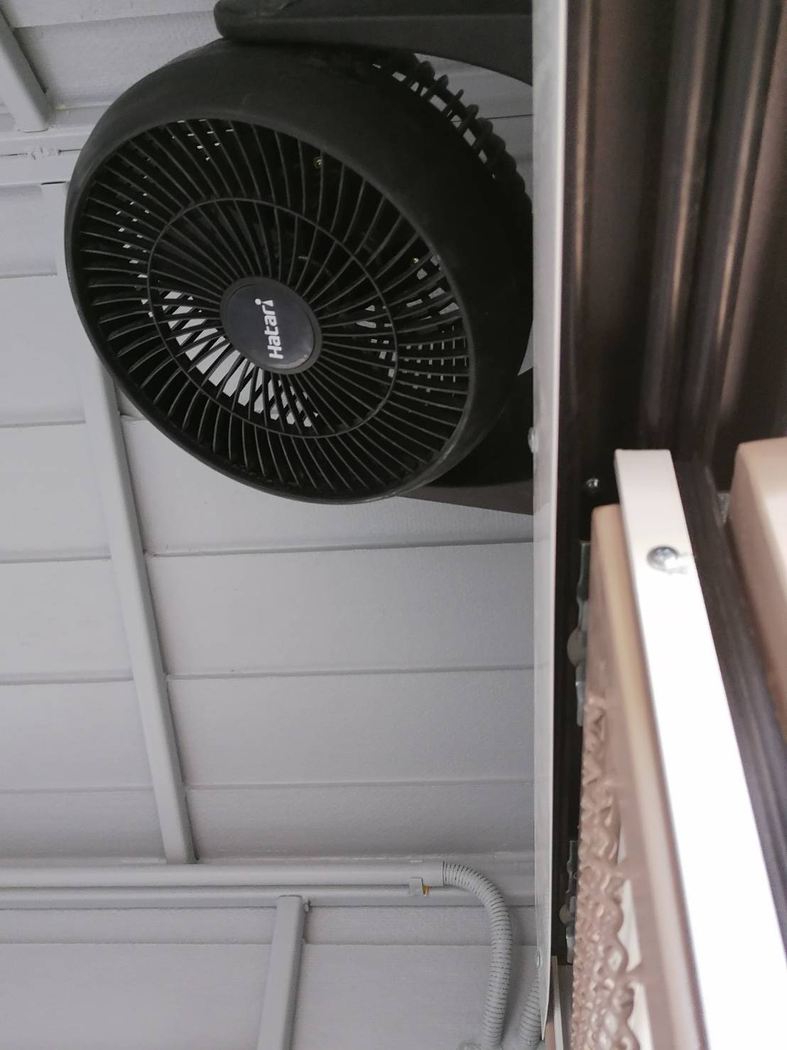 บ้านหมา