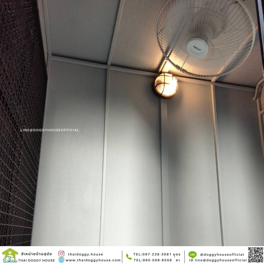 บ้านหมา