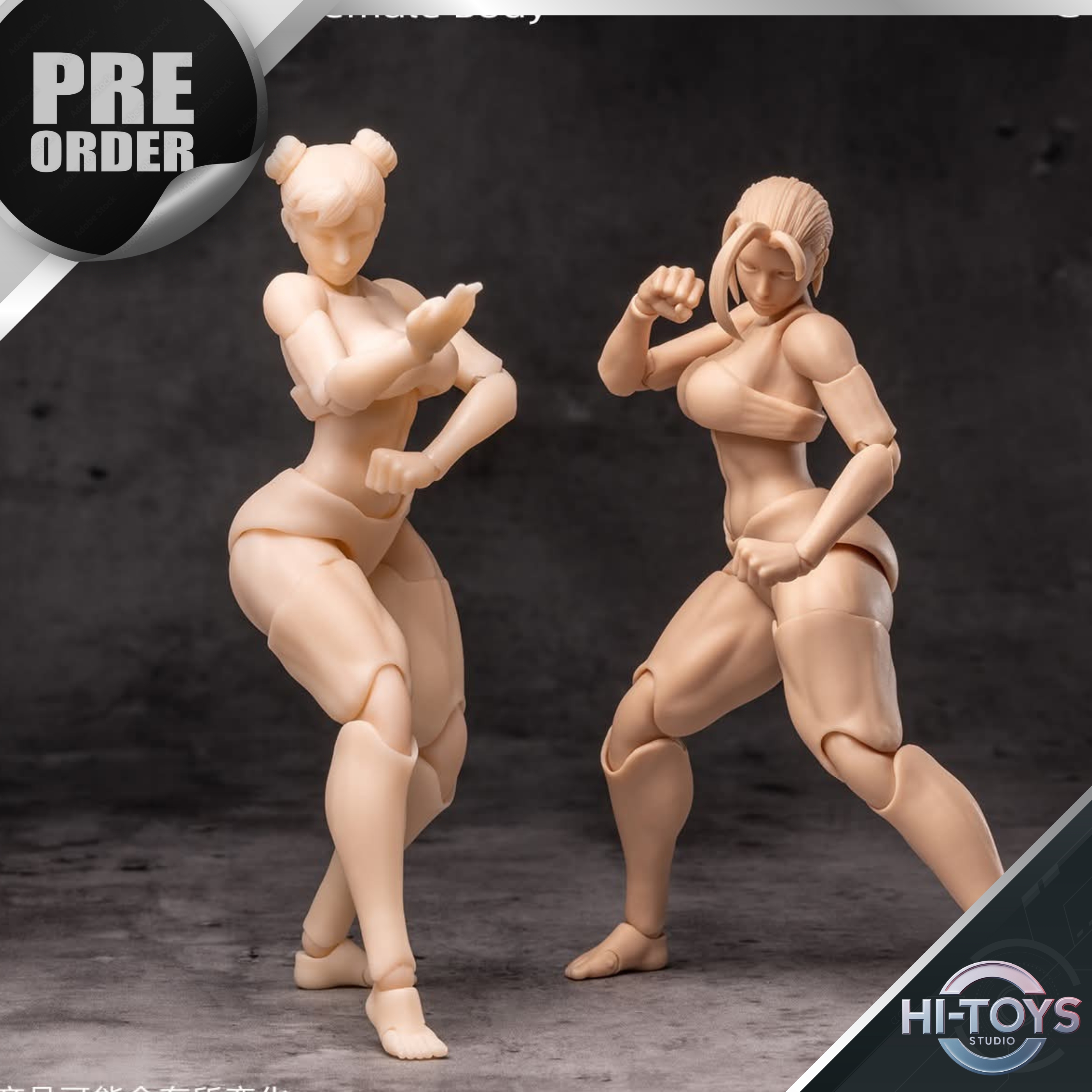 [13-11-2025] PRE ORDER - 𝗪𝗵𝗮𝗹𝗲 𝗪𝗼𝗿𝗸𝘀 - 1/12 : Female Body