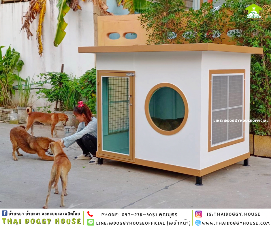 บ้านหมา แบบบ้าน 𝐁𝐎𝐗 𝐒𝐓𝐘𝐋𝐄