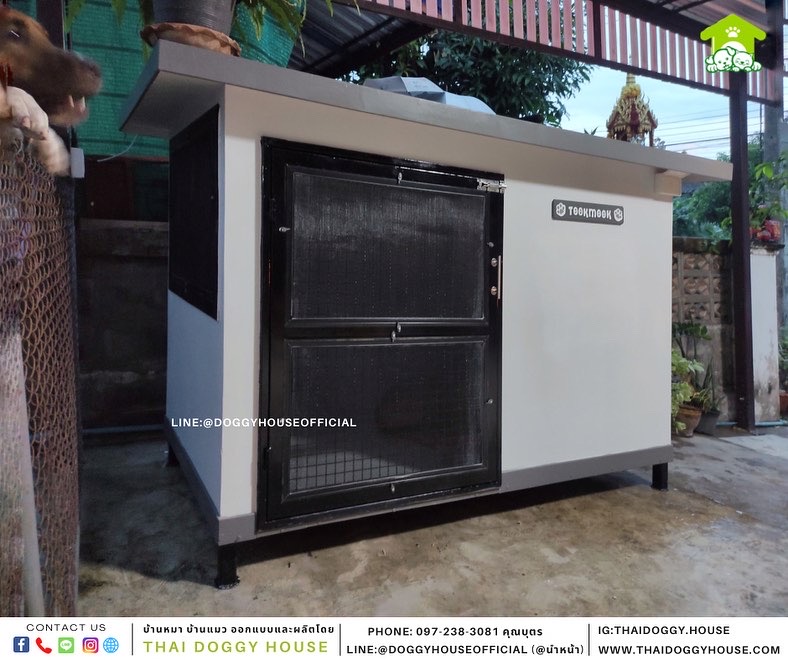 บ้านหมา แบบบ้าน Box style