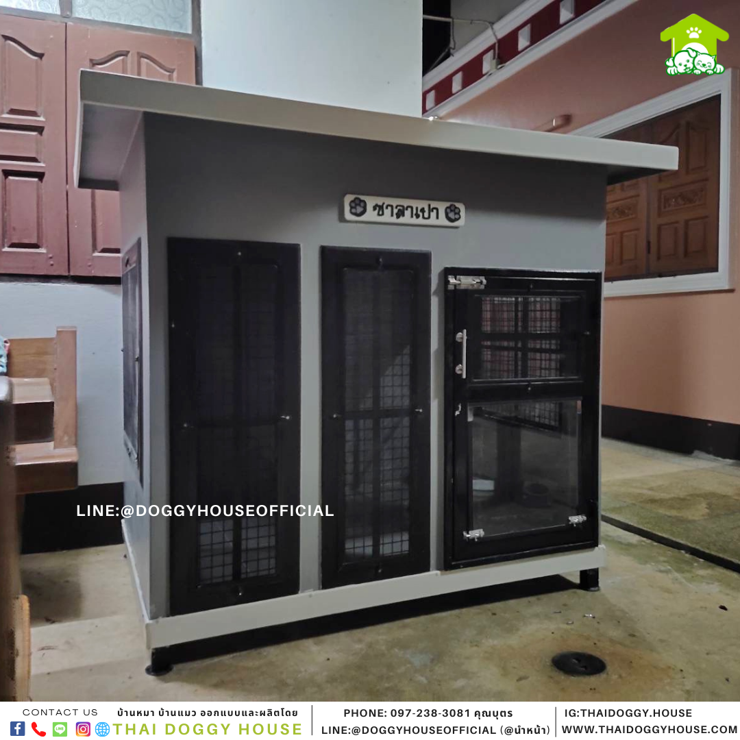 บ้านหมา แบบบ้าน Box style