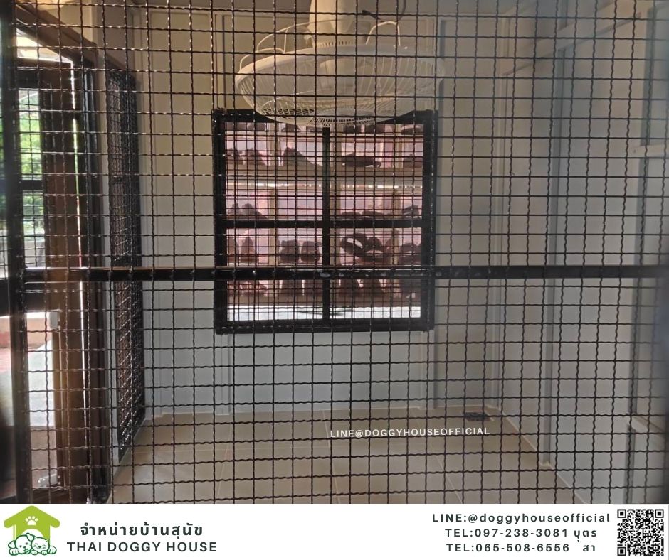 บ้านหมา