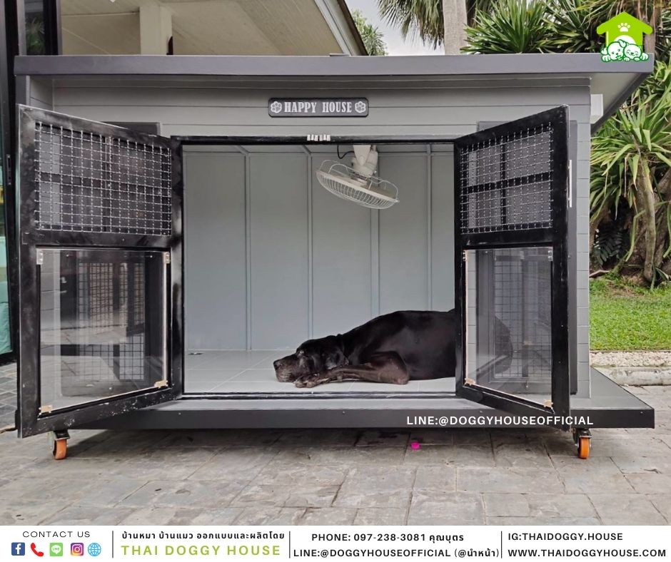บัานหมา แบบบ้าน Box style