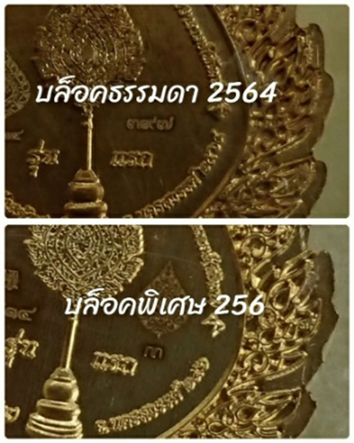 เหรียญรุ่นฉลองสมณศักดิ์(1) พิมพ์พัดยศ หลวงพ่อพัฒน์ วัดห้วยด้วน นครสวรรค์ เนื้อทองทิพย์ ลงยา 3 สี (**บล็อคพิเศษ 256) ปี 2564