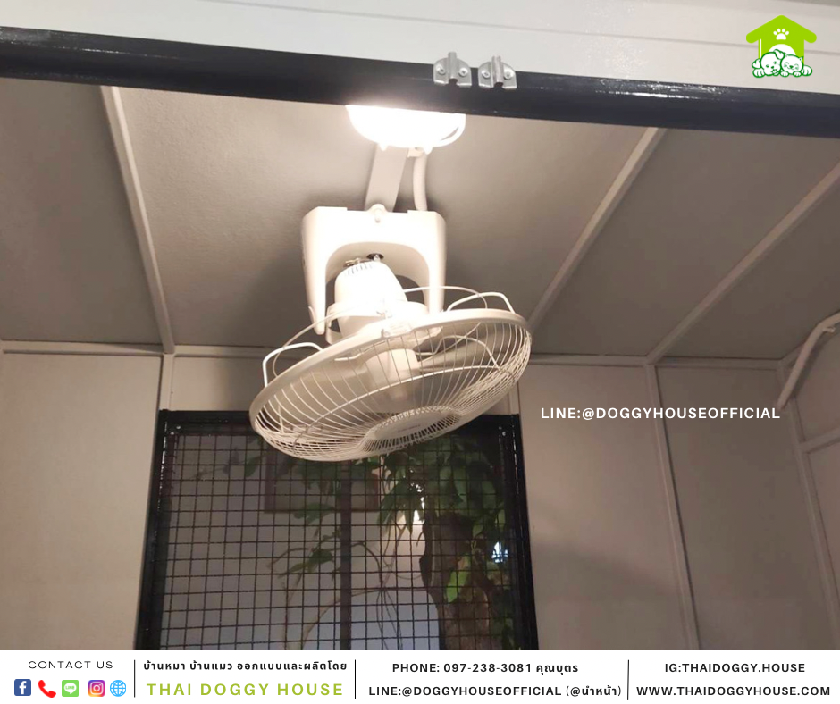 บ้านหมา แบบบ้าน BOX STYLE