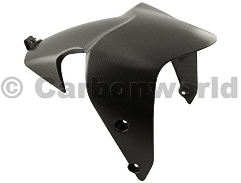 carbonworld บังโคลนหน้าคาร์บอน สำหรับ monster 821 2018+