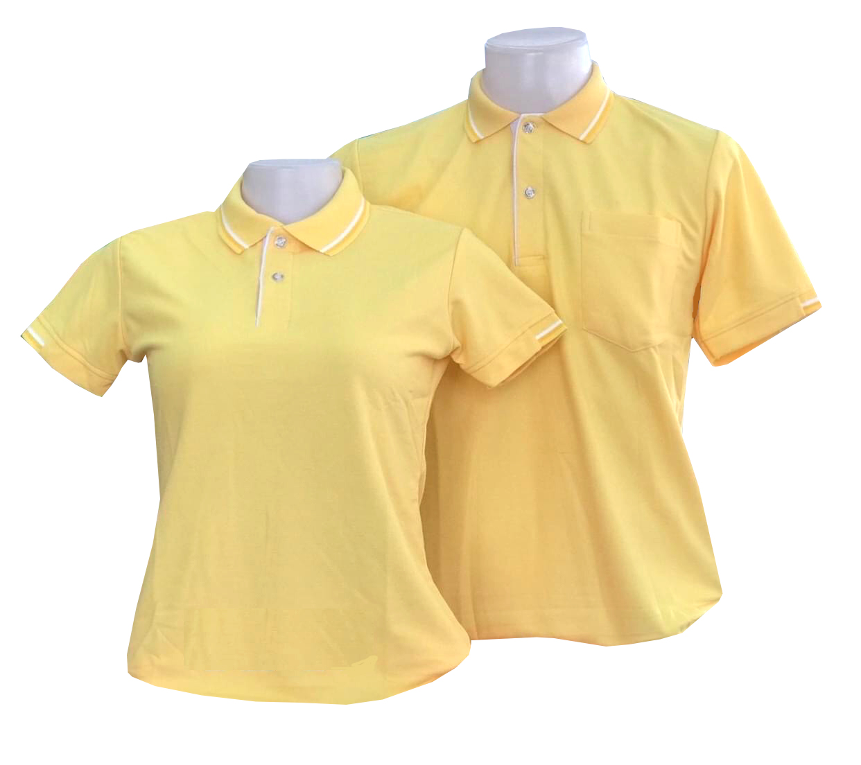 เสื้อโปโลสีเหลือง ปกสีเหลืองมีลายเส้นสีขาว แขนจั๊มครึ่ง
