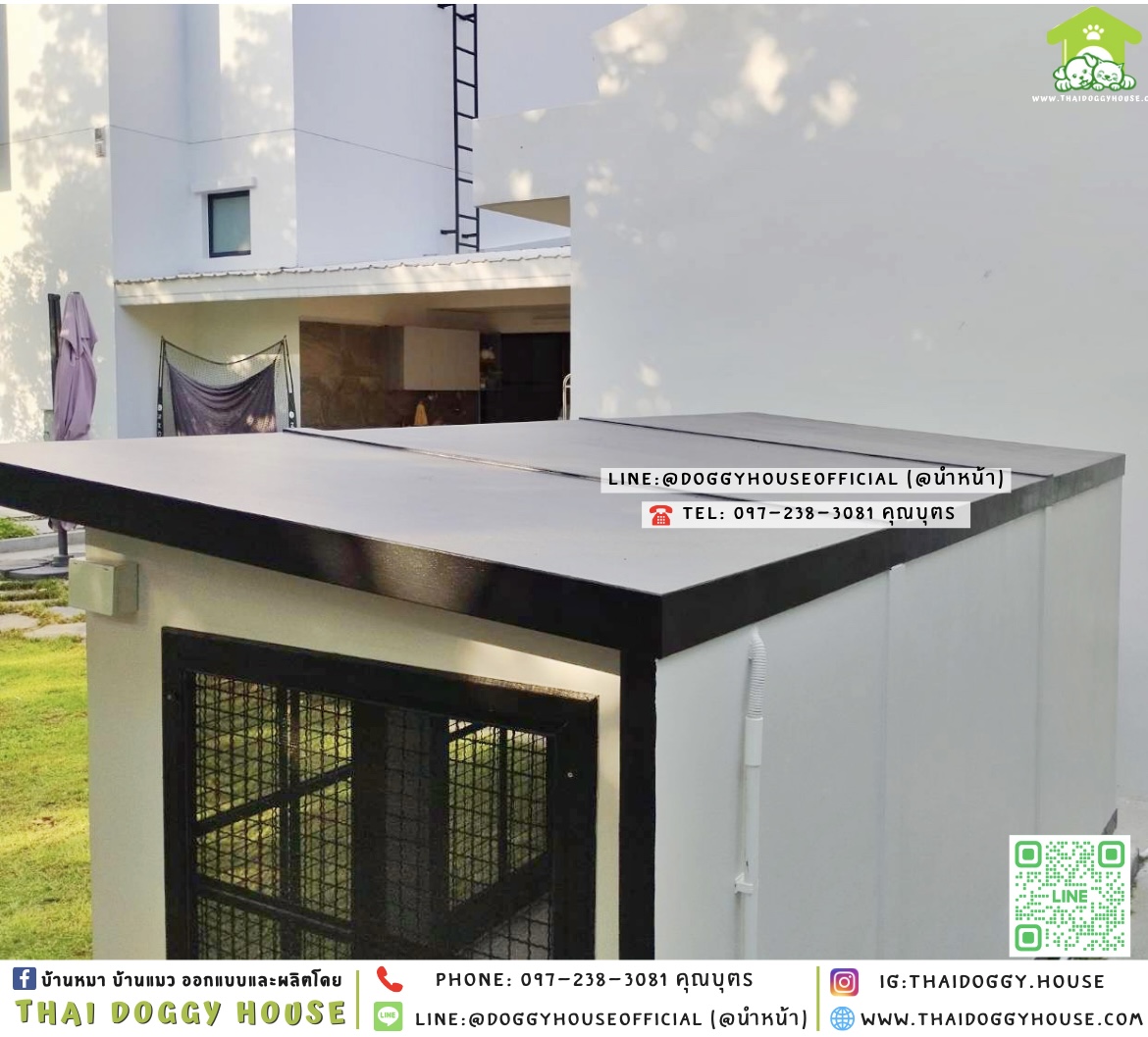 🏡บ้านหมา มุ้งลวด แบบบ้าน 𝐁𝐎𝐗 𝐒𝐓𝐘𝐋𝐄 ✨