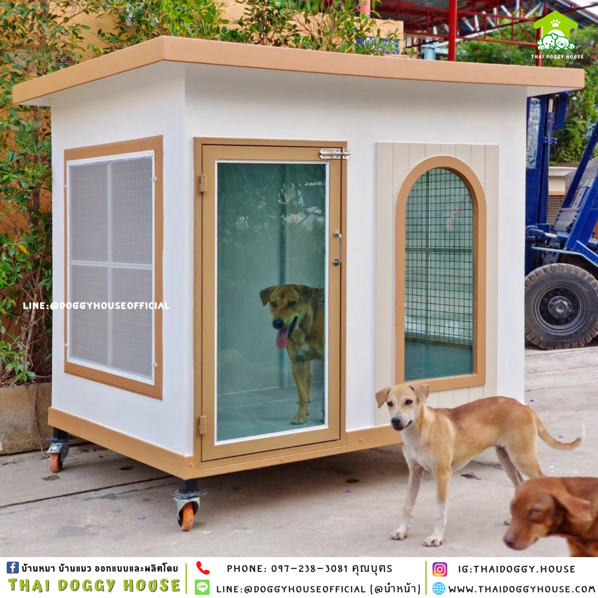 บ้านหมา แบบบ้าน 𝑩𝑶𝑿 𝑺𝑻𝒀𝒍𝑬