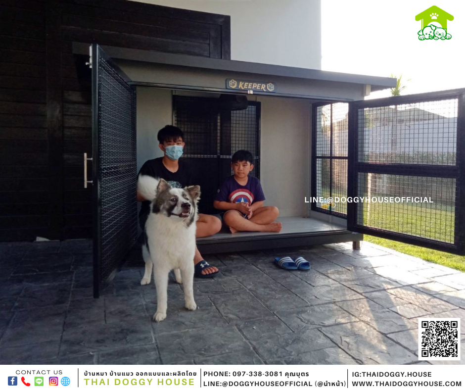 บ้านหมา