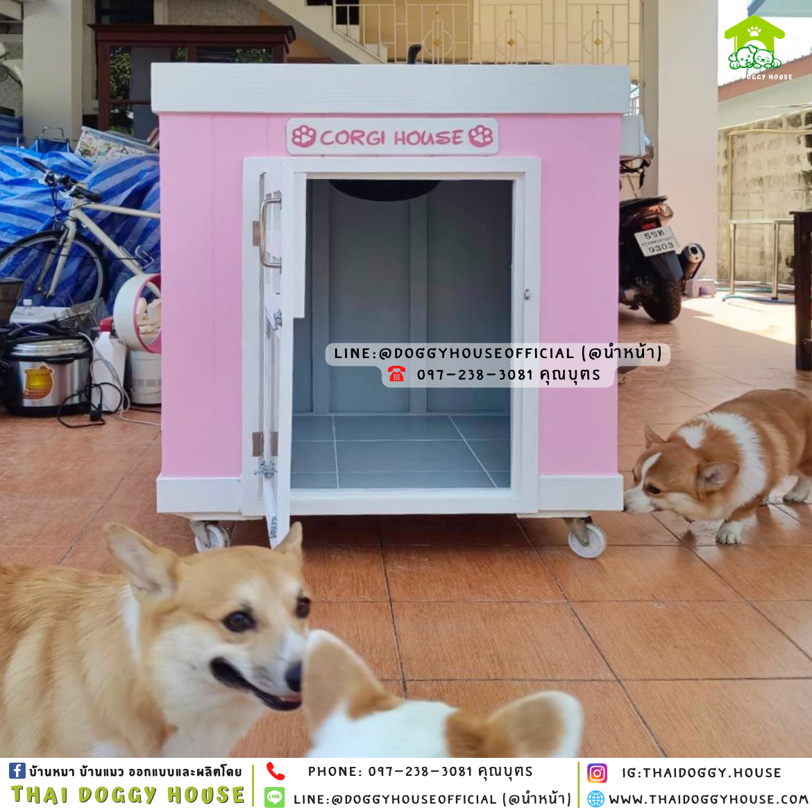 บ้านหมา มีมุ้งลวด + ตะแกรงเหล็ก ทรง 𝐁𝐎𝐗 𝐒𝐓𝐘𝐋𝐄