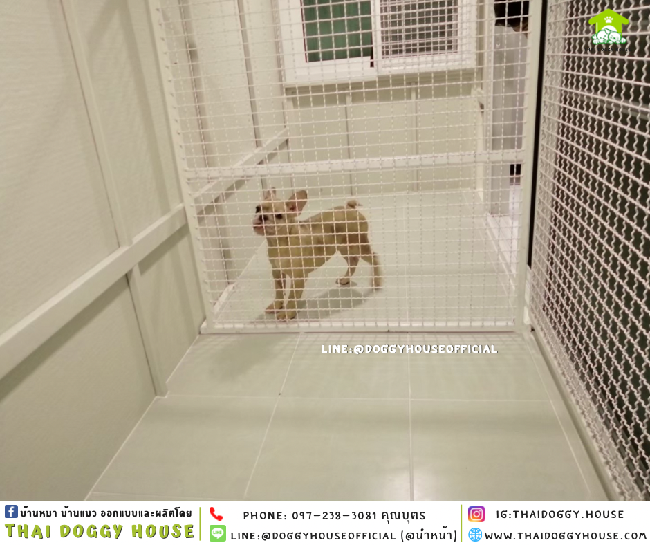 บ้านหมา แบบบ้าน 𝐌𝐨𝐝𝐫𝐞𝐧 𝐬𝐭𝐲𝐥𝐞 รองรับการติดแอร์